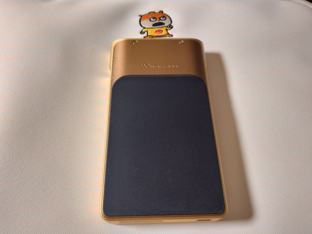 高級 SONY NW-WM1ZM2 DAP ソニーウォークマン おまけ付き