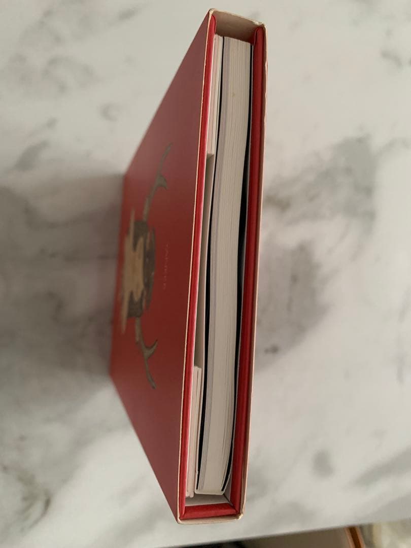 【米津玄師】 YANKEE 画集盤