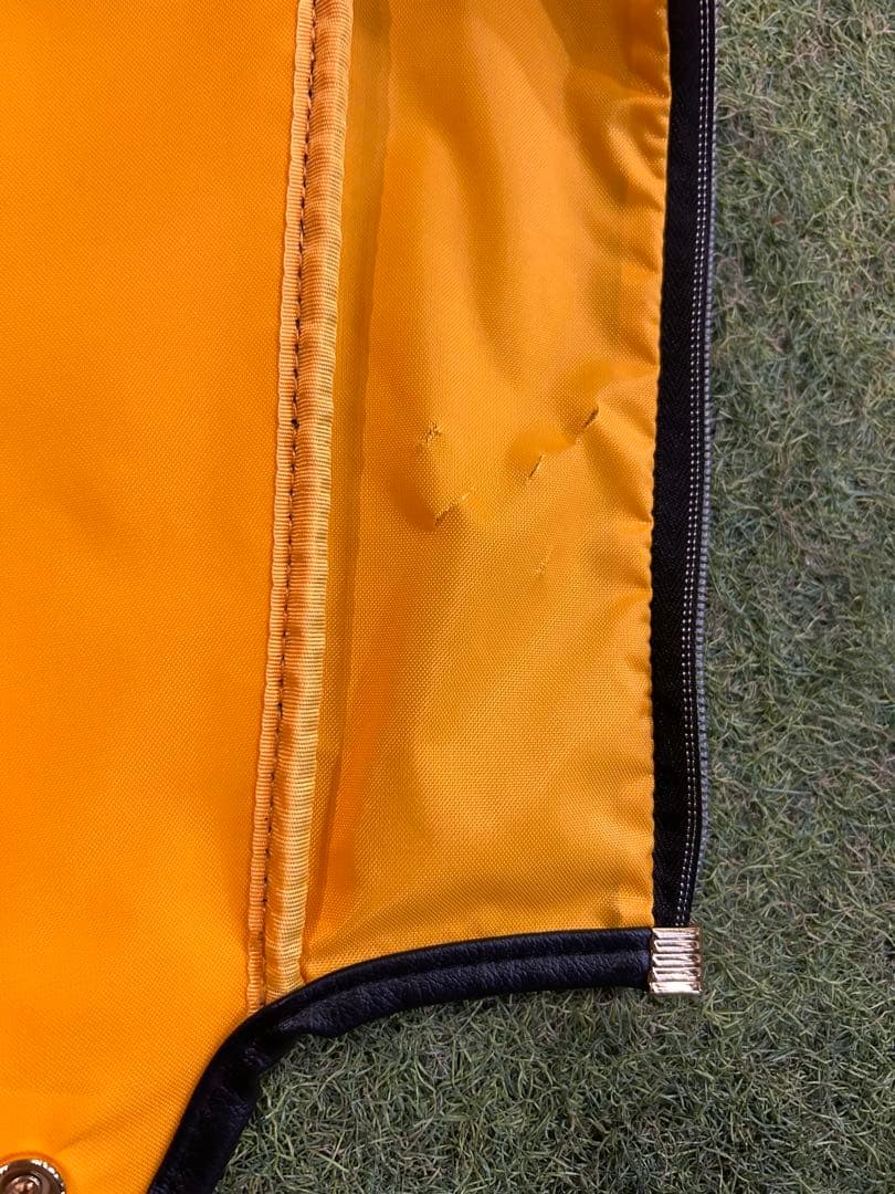 ⭐︎美品⭐︎レザレクション⭐︎キャディバッグ⭐︎スタンド型