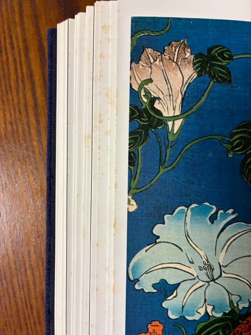 ★希少品★「原色浮世絵刺青版画」「原色日本刺青大鑑」まとめ売り