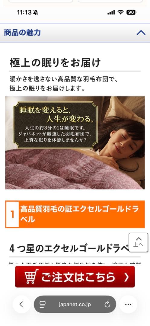 エクセルゴールド ダウン掛け布団 セミダブル