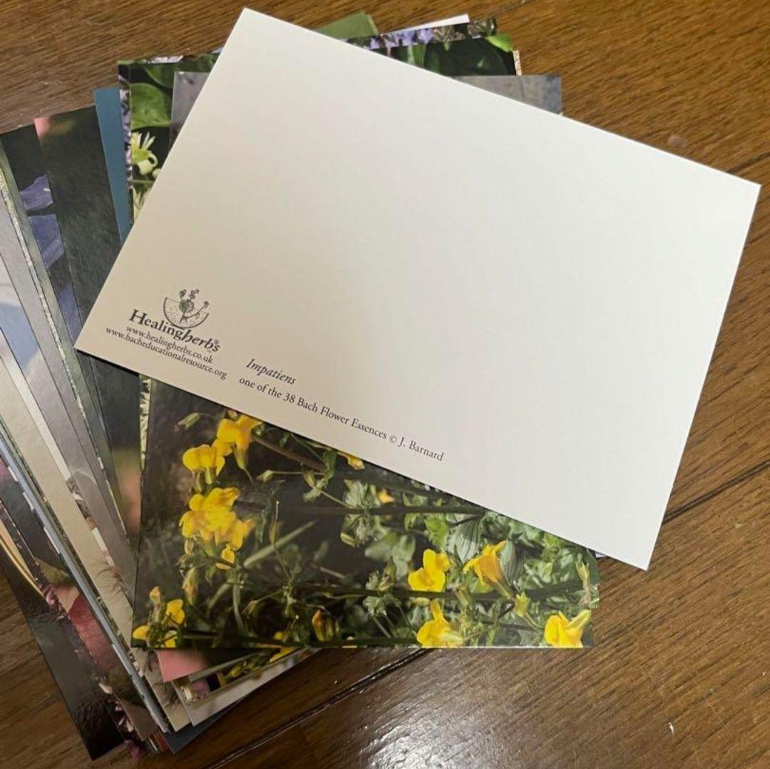 けろっぴページ■フラワーエッセンスフルセット40本と木箱のセットと当商品