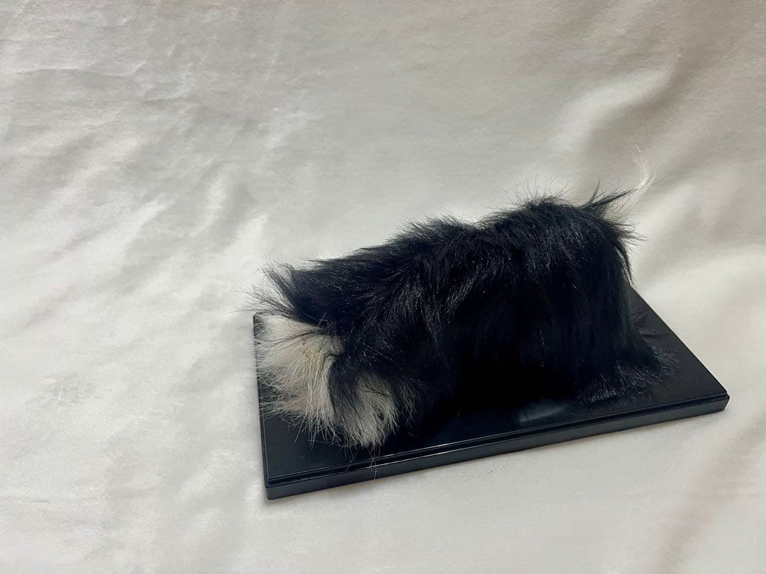 4*4様 播州秋祭り毛獅子ケース付 大塩天満宮　灘のけんか祭り姫路獅子舞　播州屋