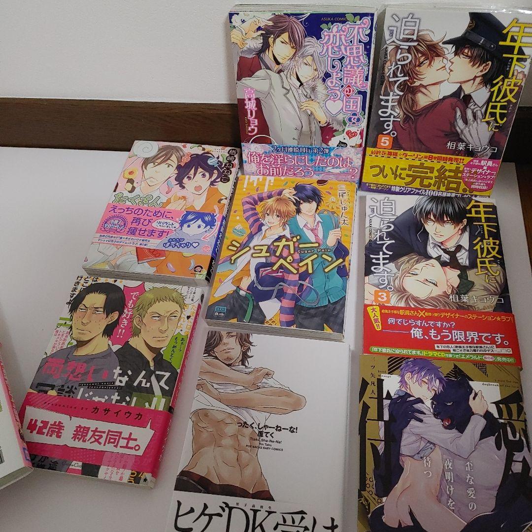 BL本　商業BL　小説　まとめ売り　サイン本　世界一初恋　blコミック