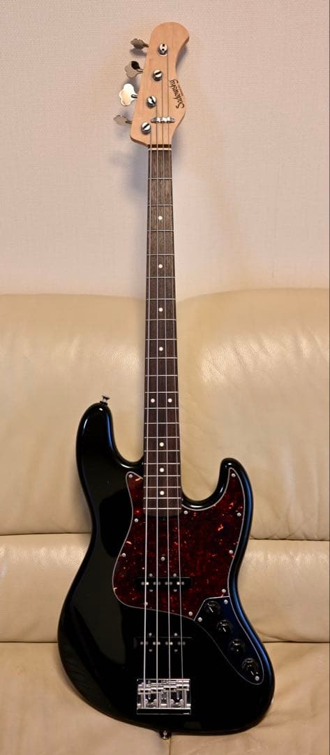 今日だけ特別値下げSadowsky Metroline UV60 PLEK済