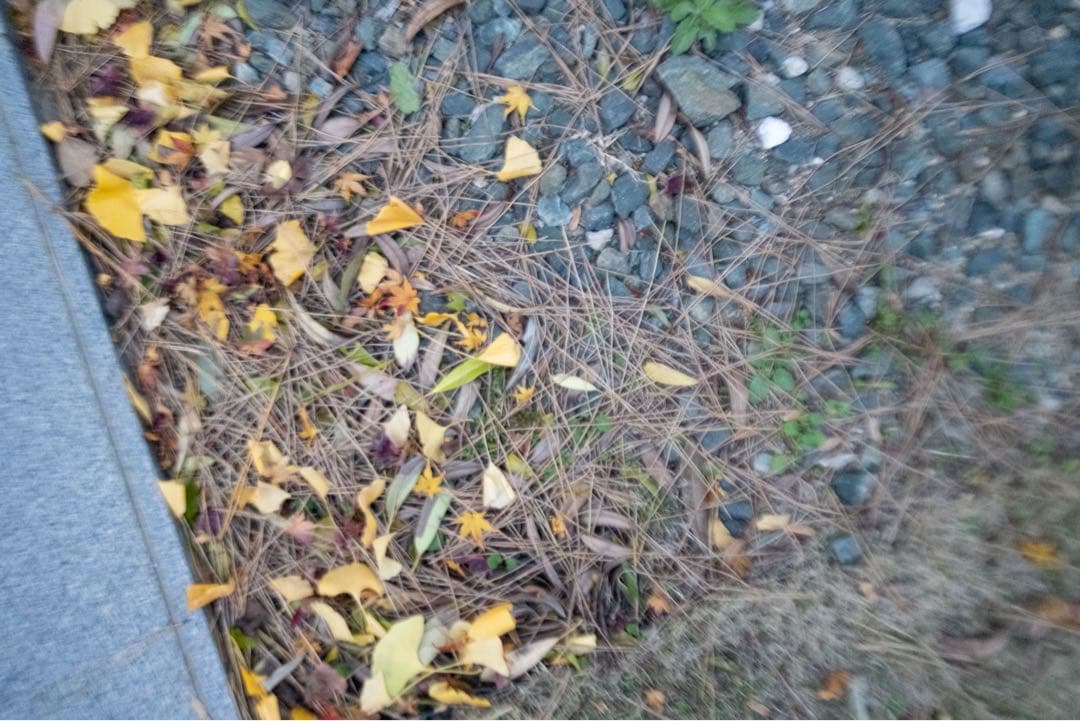 ジャンク　Canon RF35mm F1.8 MACRO IS STM