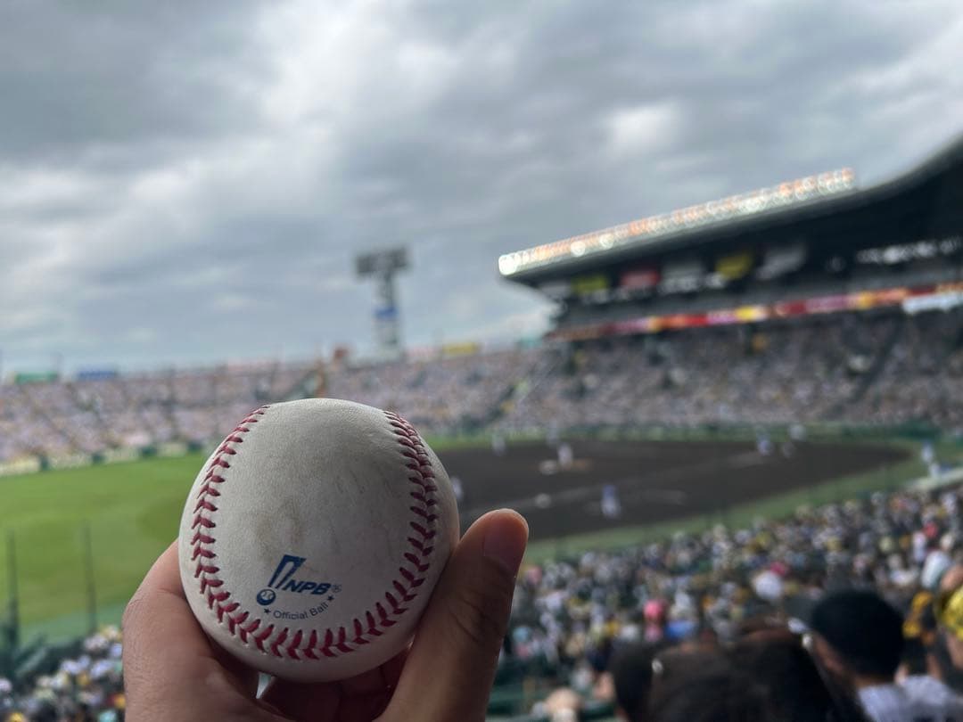 5/10 阪神　中日　ファールボール　NPB 公式ボール 記念品　トラコデー