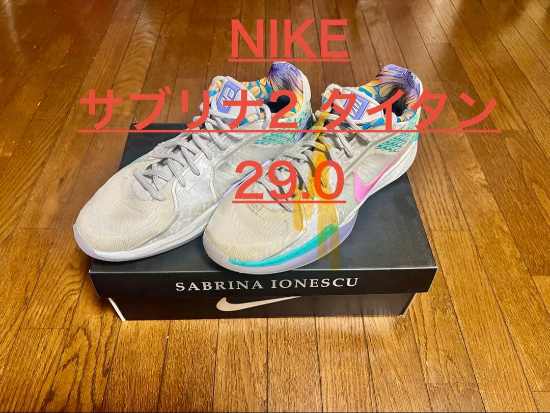 NIKE サブリナ 2 タイタン 29.0cm