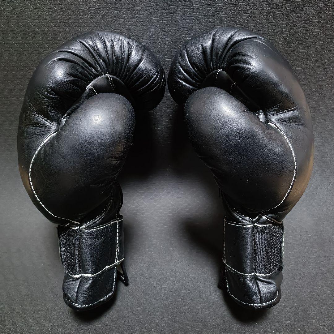 東京堂 インターナショナル 日本拳法グローブ