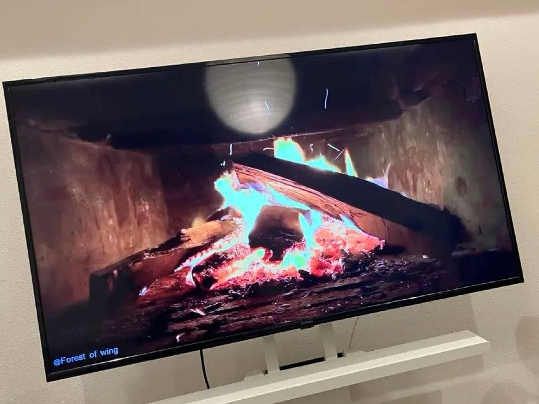 アイリスオーヤマTV 55UB10P [55インチ]