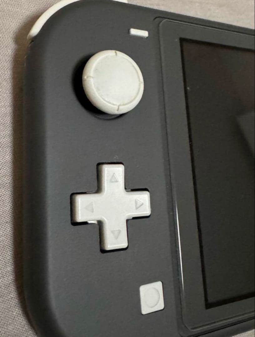 Nintendo Switch Lite グレー 本体 + ゲーム