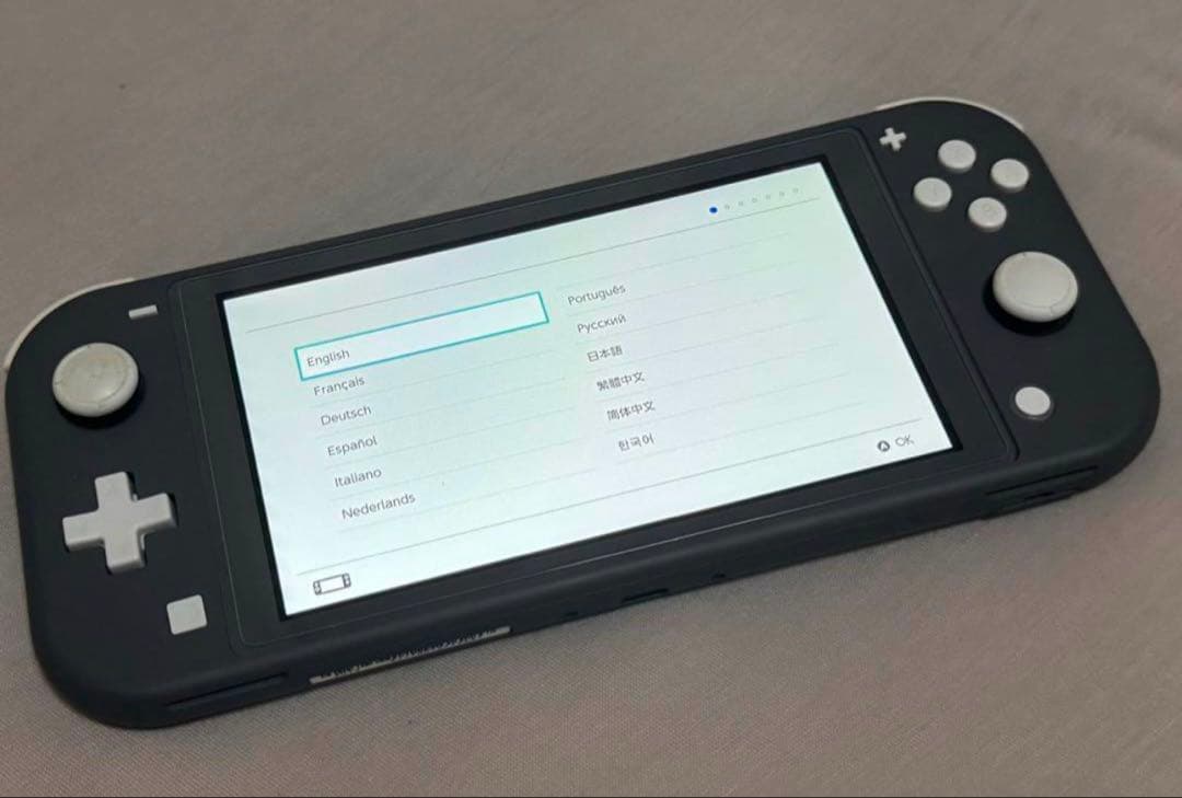 Nintendo Switch Lite グレー 本体 + ゲーム
