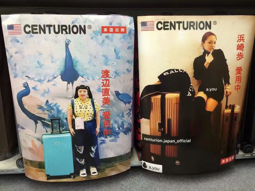 新品CENTURION/フレームタイプ/29インチ/大容量/人気/動物限定