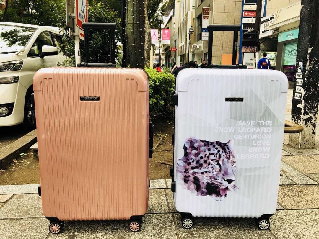 新品CENTURION/フレームタイプ/29インチ/大容量/人気/動物限定