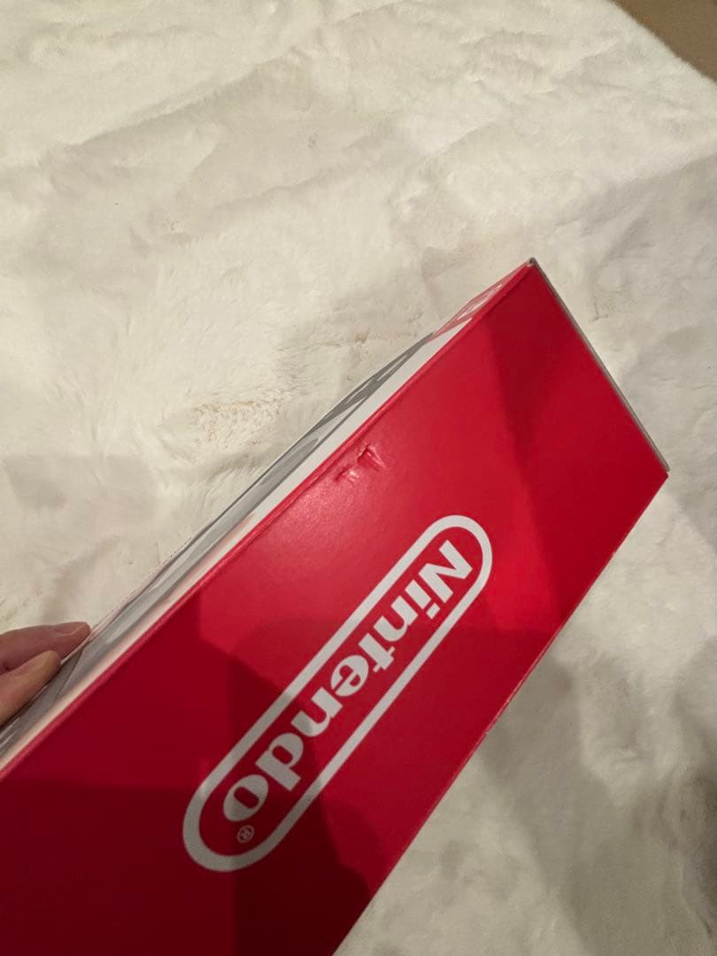 Nintendo Switch Lite グレー ケース付き。ACアダプター無し