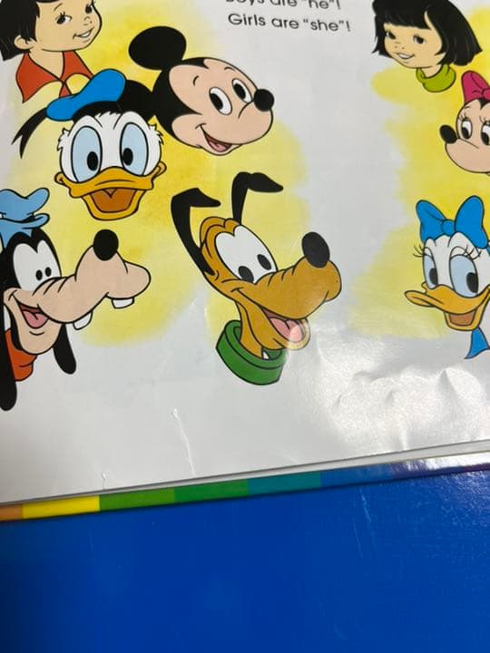 Kao様確認ページ