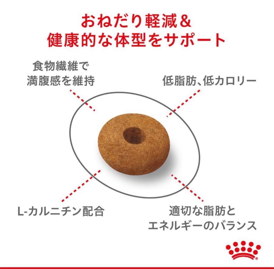  CANIN ドライ・ウェットフードセット 2kg + 85g×60袋