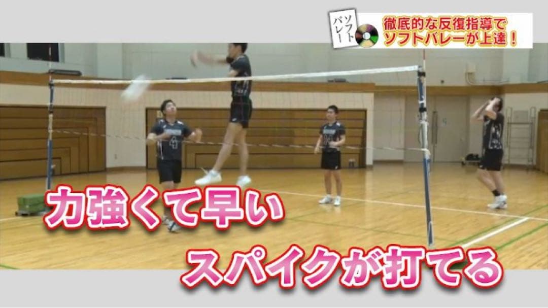 ソフトバレーボール上達革命 Disc 1 .2