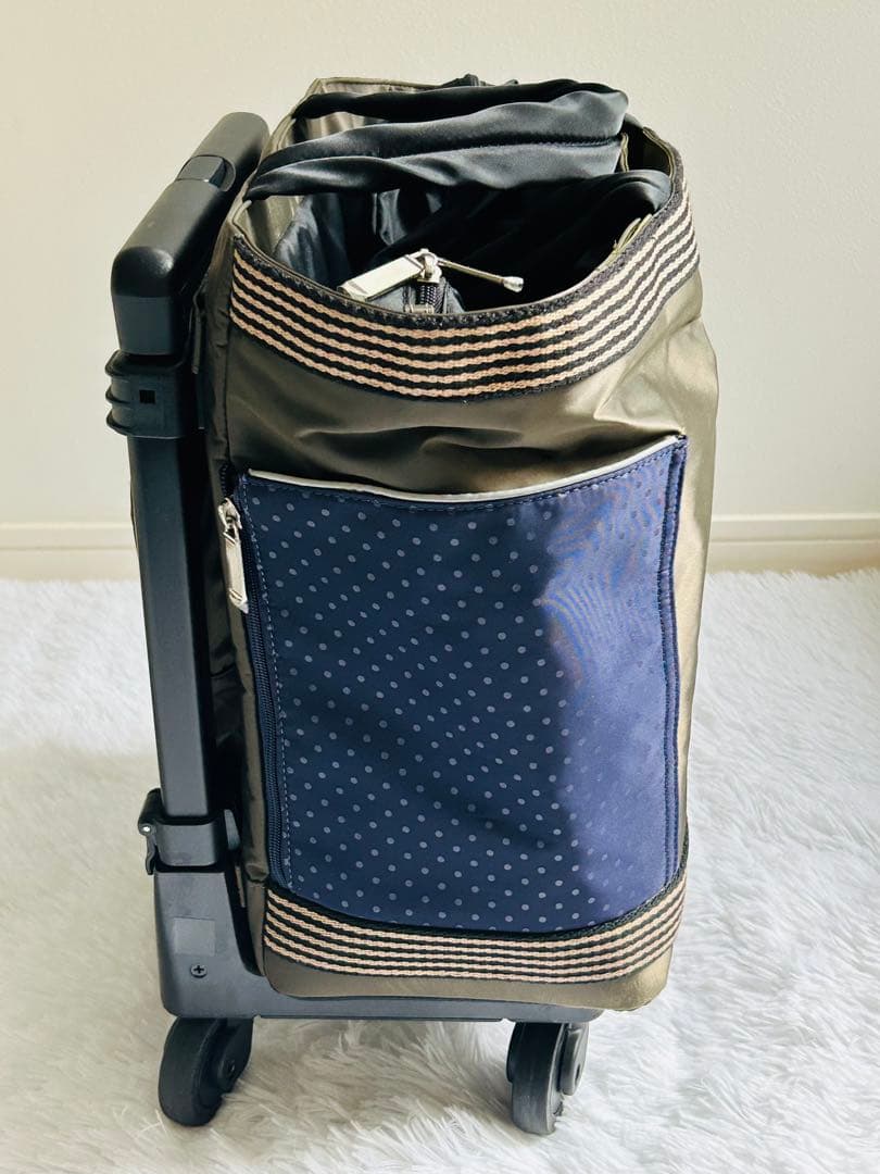 美品⭐︎SWANY キャリーケース　東京デリカ　2way4輪ストッパー機内持ち込み