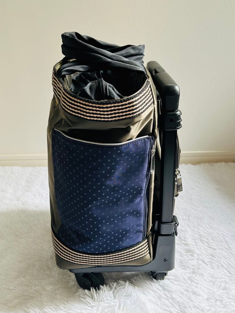美品⭐︎SWANY キャリーケース　東京デリカ　2way4輪ストッパー機内持ち込み