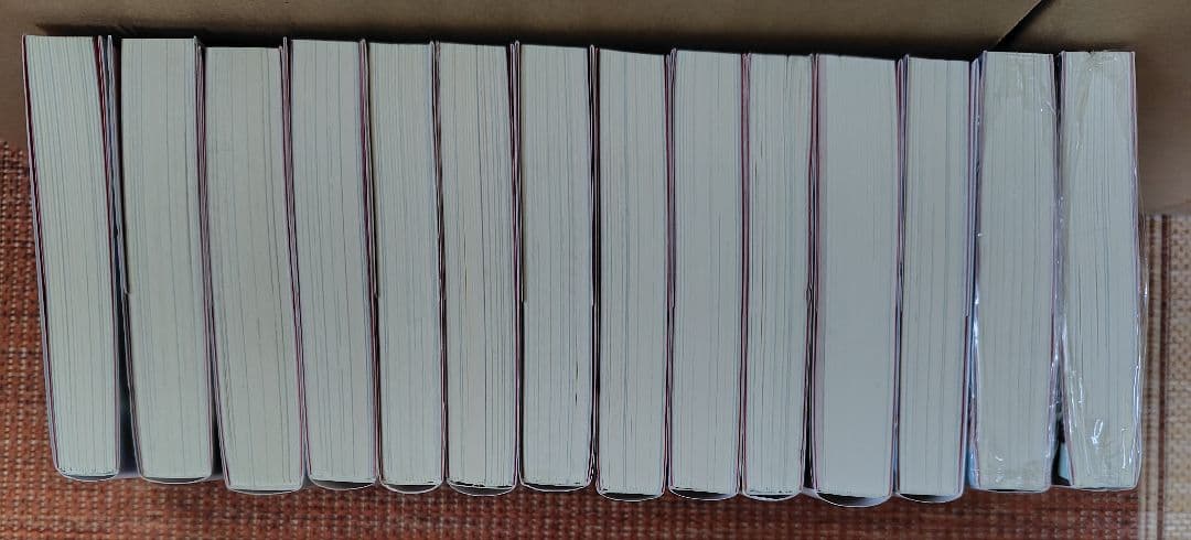 サイレント・ウィッチ 小説 ラノベ 全14巻 + 特典