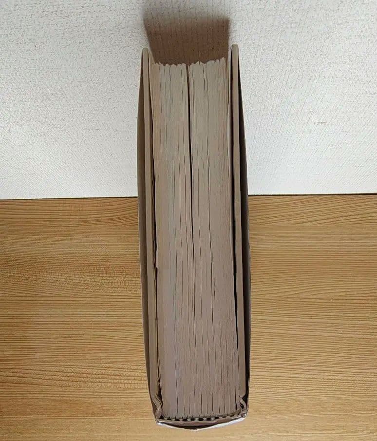 ジョージア・オキーフ　FOURSOME　洋書