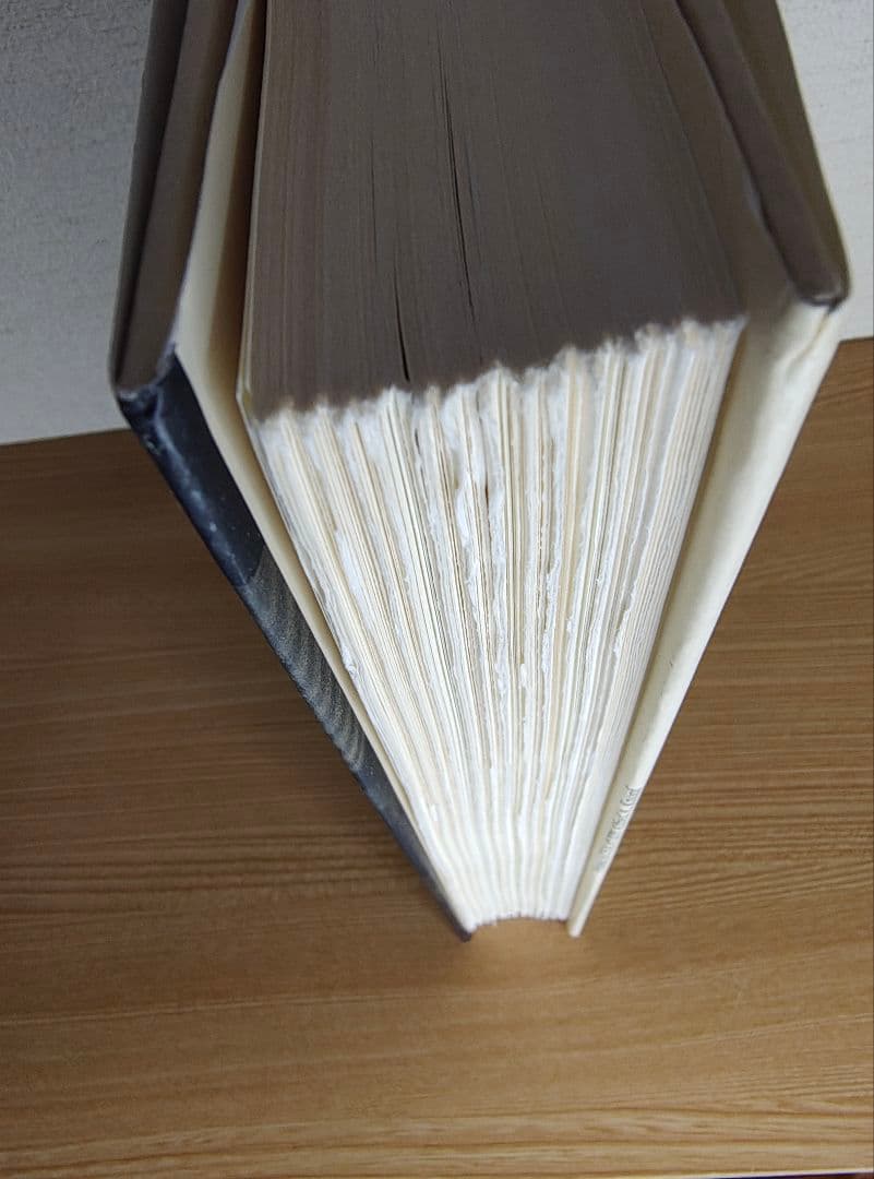 ジョージア・オキーフ　FOURSOME　洋書