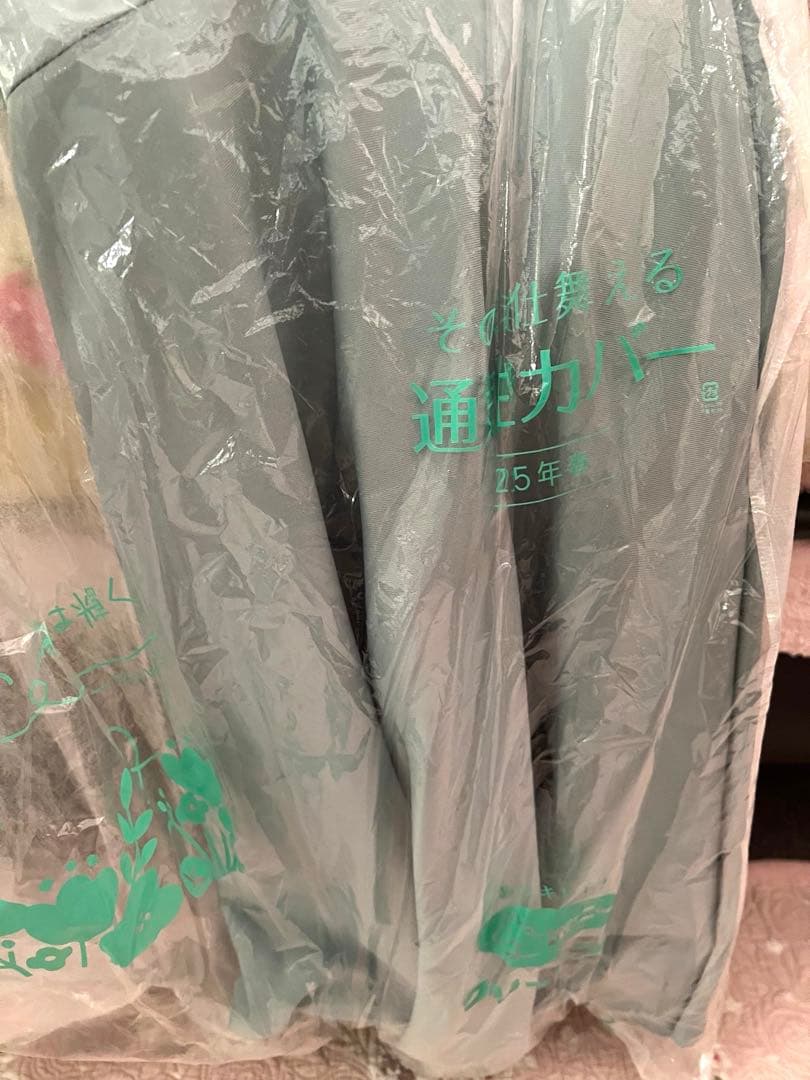 Angel R ミントグリーン フラワーレースドレスS