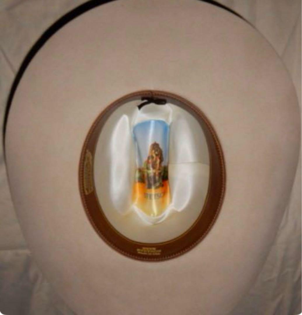 ステットソン　ハット　stetson