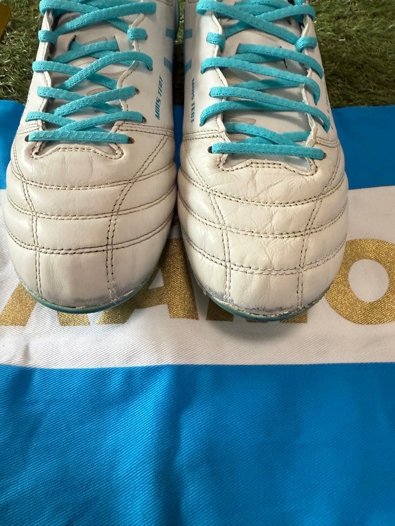 asics ds light x-fly 5 限定カラー 26 cm KAMO