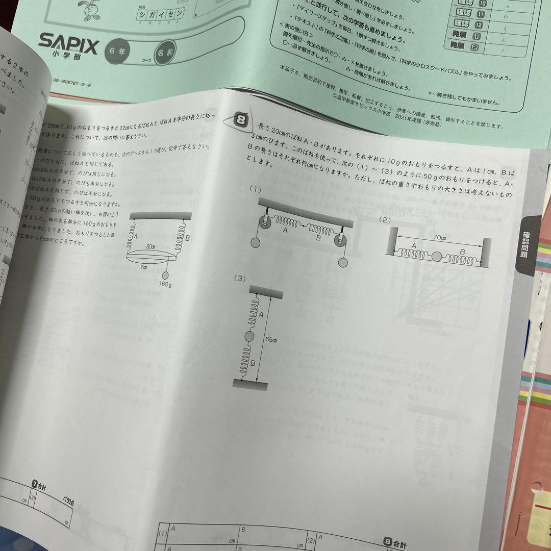 ㉑な　サピックス　ディリーサピックス　SAPIX 6年　理科　テキスト　一年分