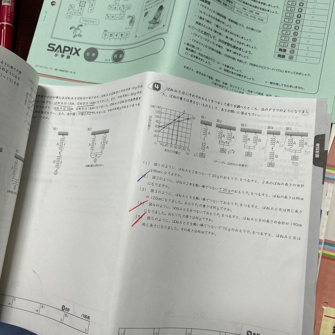 ㉑な　サピックス　ディリーサピックス　SAPIX 6年　理科　テキスト　一年分