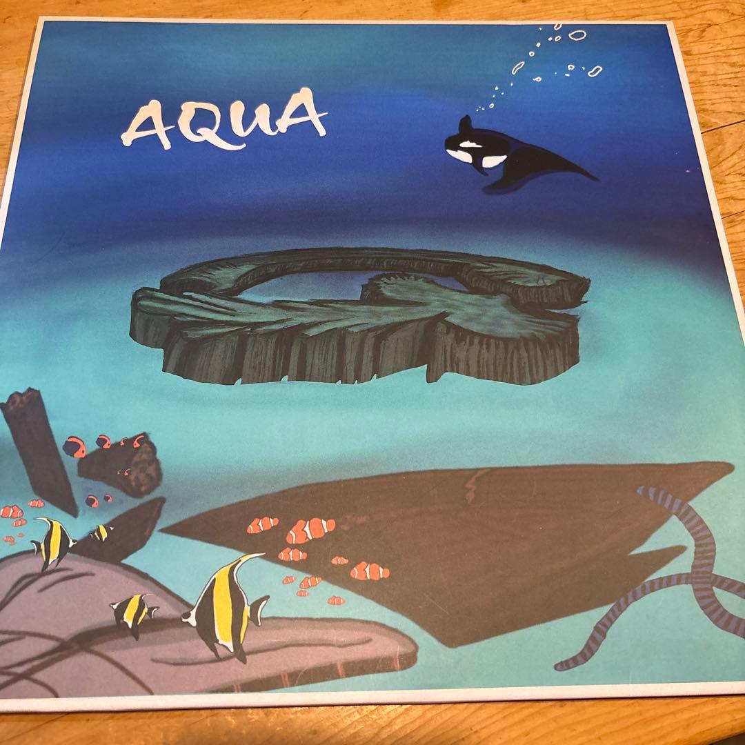 即日発送　最安値　 KANDYTOWN gotts AQUA レコード