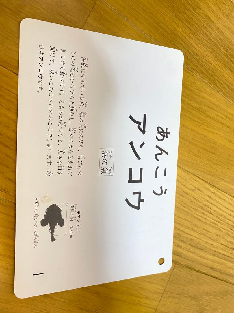 【全カード揃い】くもんの図鑑カード★生活・自然・乗り物・動物まとめ売り