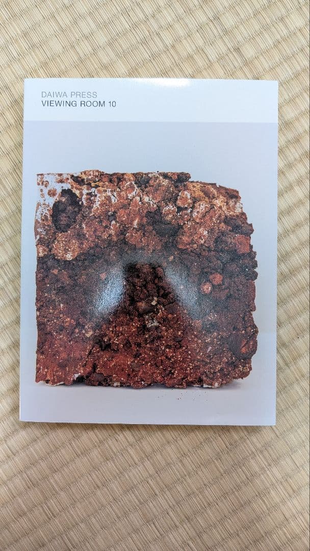 鯉江良二 DAIWA PRESS VIEWING ROOM10