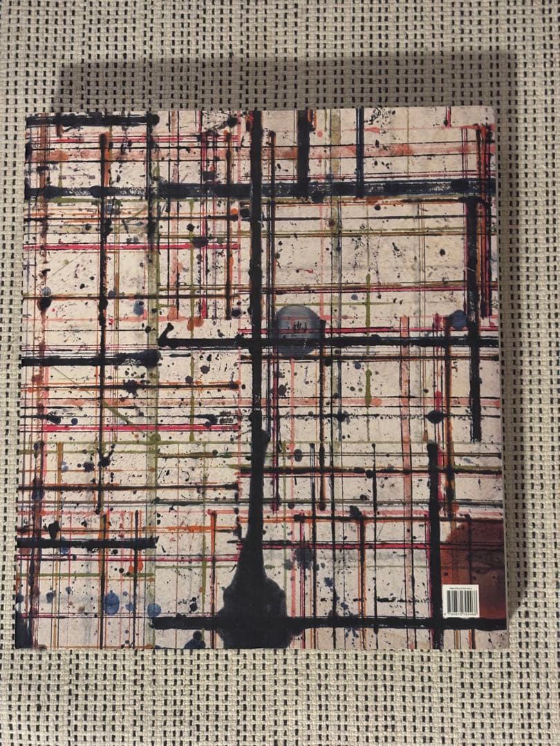 アート・デザイン・音楽 PLANE IMAGE A BRICE MARDEN RETROSPECTIVE