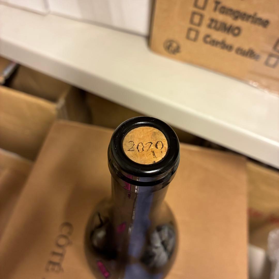 アンドレアスツェッペ　Salamander 2020