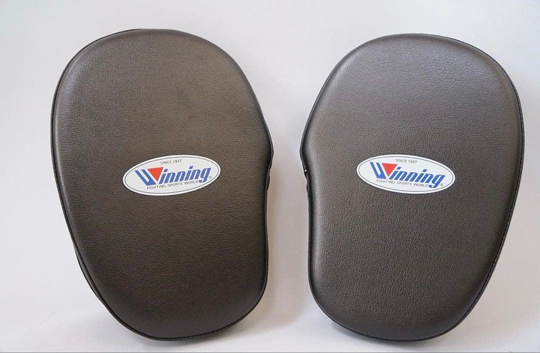 WINNING（ウイニング） パンチングミット スタンダードタイプ CM-20