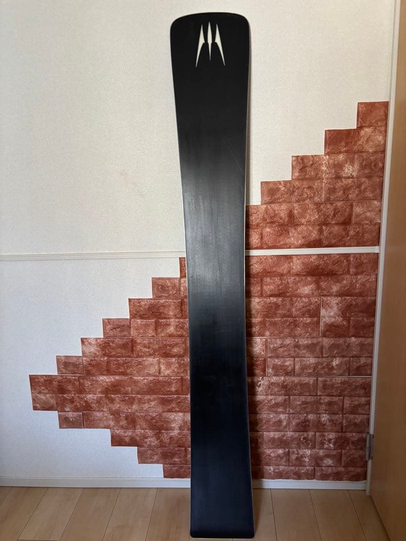 MOSS BOARDS - アルペンスノーボードGS用