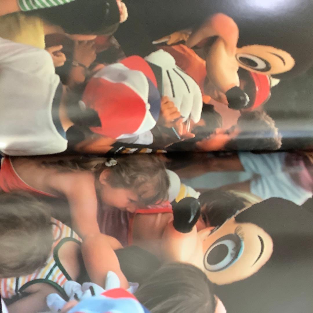 ディズニー　Walt Disney world 洋書 1979
