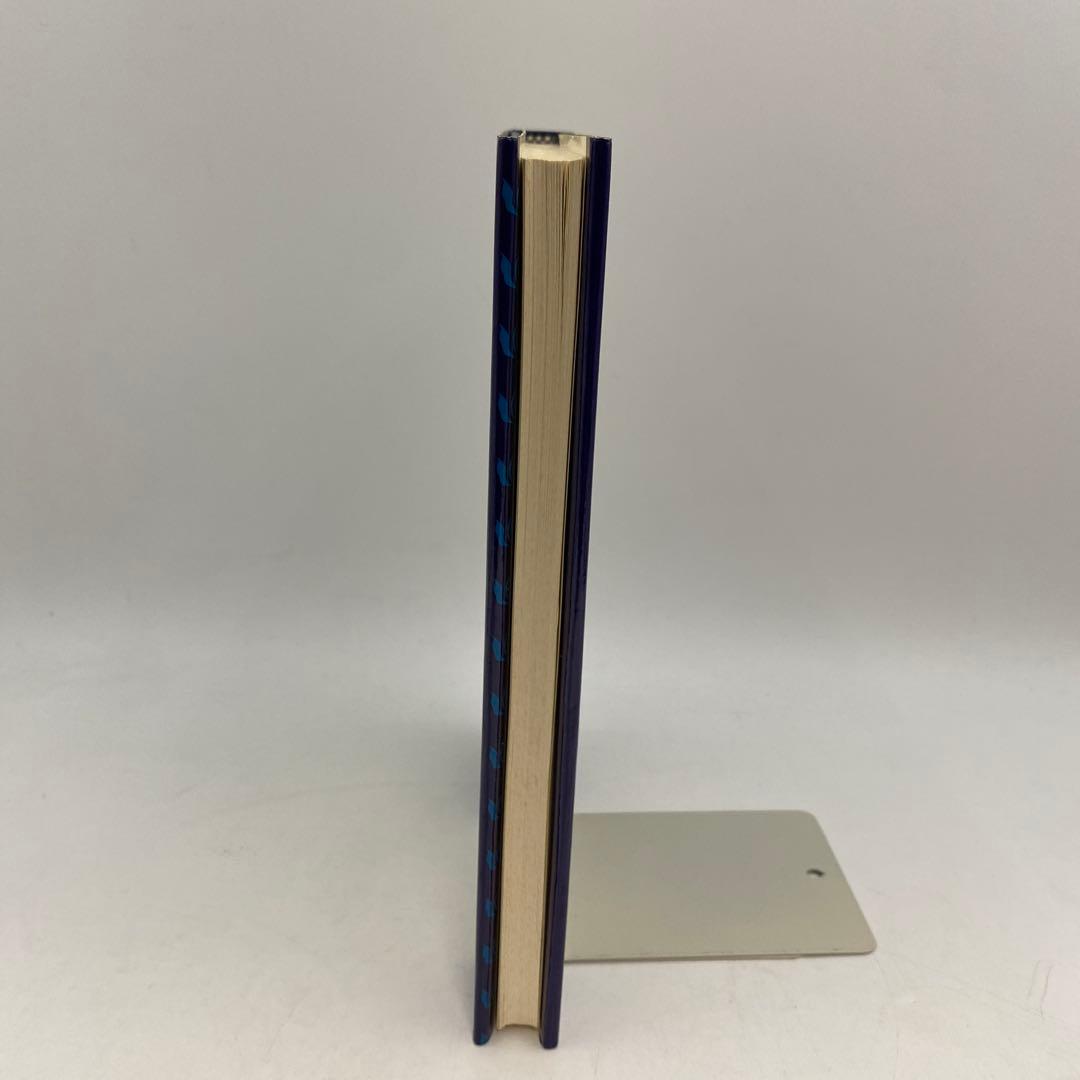 洋書 Literary Interest