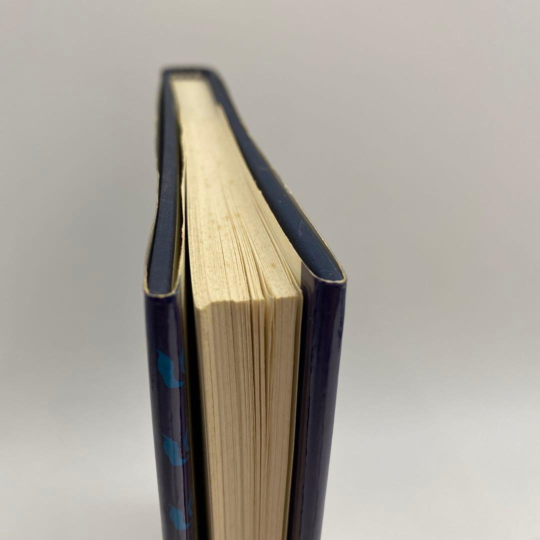 洋書 Literary Interest