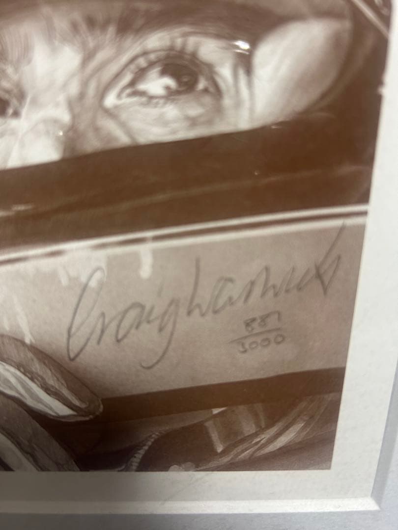 アイルトン・セナ 鉛筆画 サイン入り 881/3000 送料込