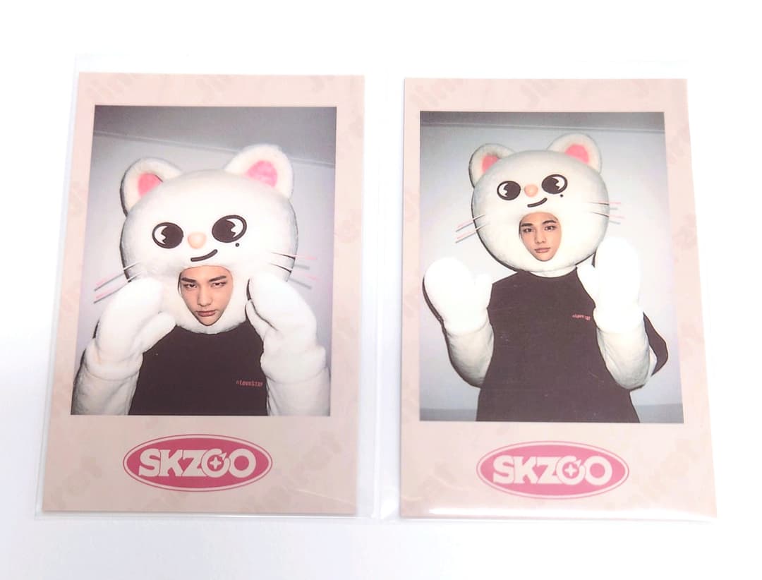 Stray Kids SKZOO ヒョンジン