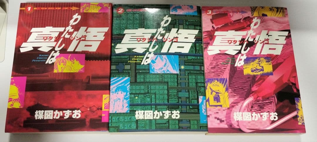 わたしは真悟 スーパービジュアルコミックス