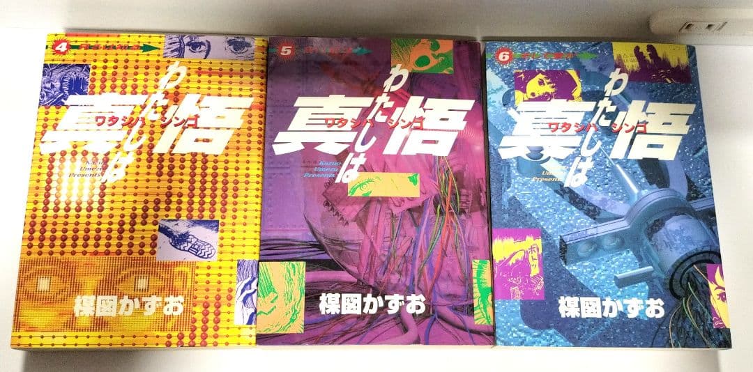 わたしは真悟 スーパービジュアルコミックス