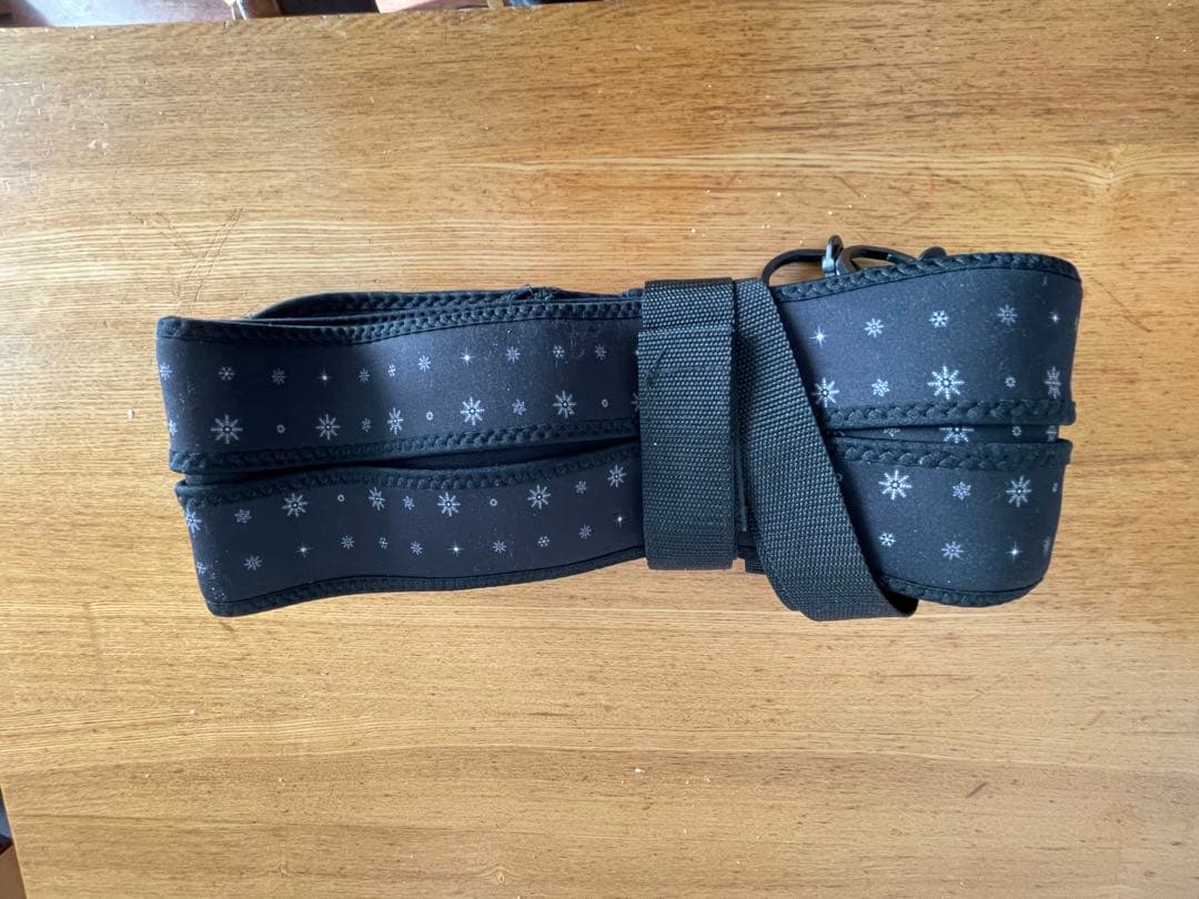 SALOMON teneighty 板・ブーツ・ポール＋GRAVITYバッグ