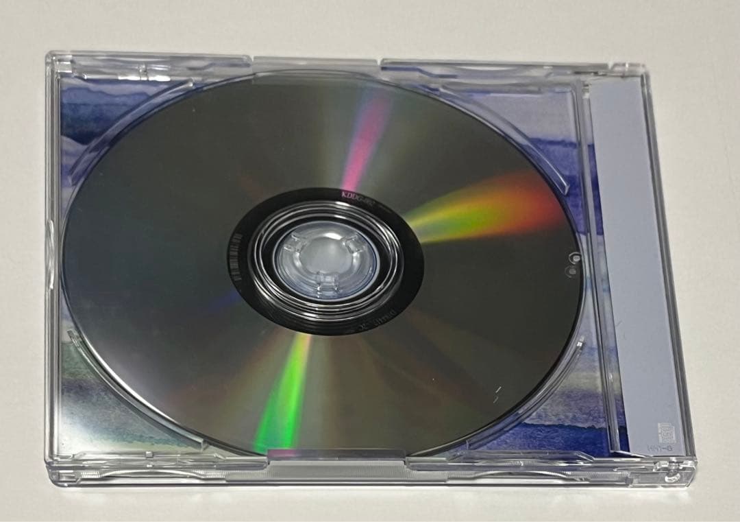 for you CD 歌い手 いゔどっと ホロホロ鳥 Bee 橘優 2枚