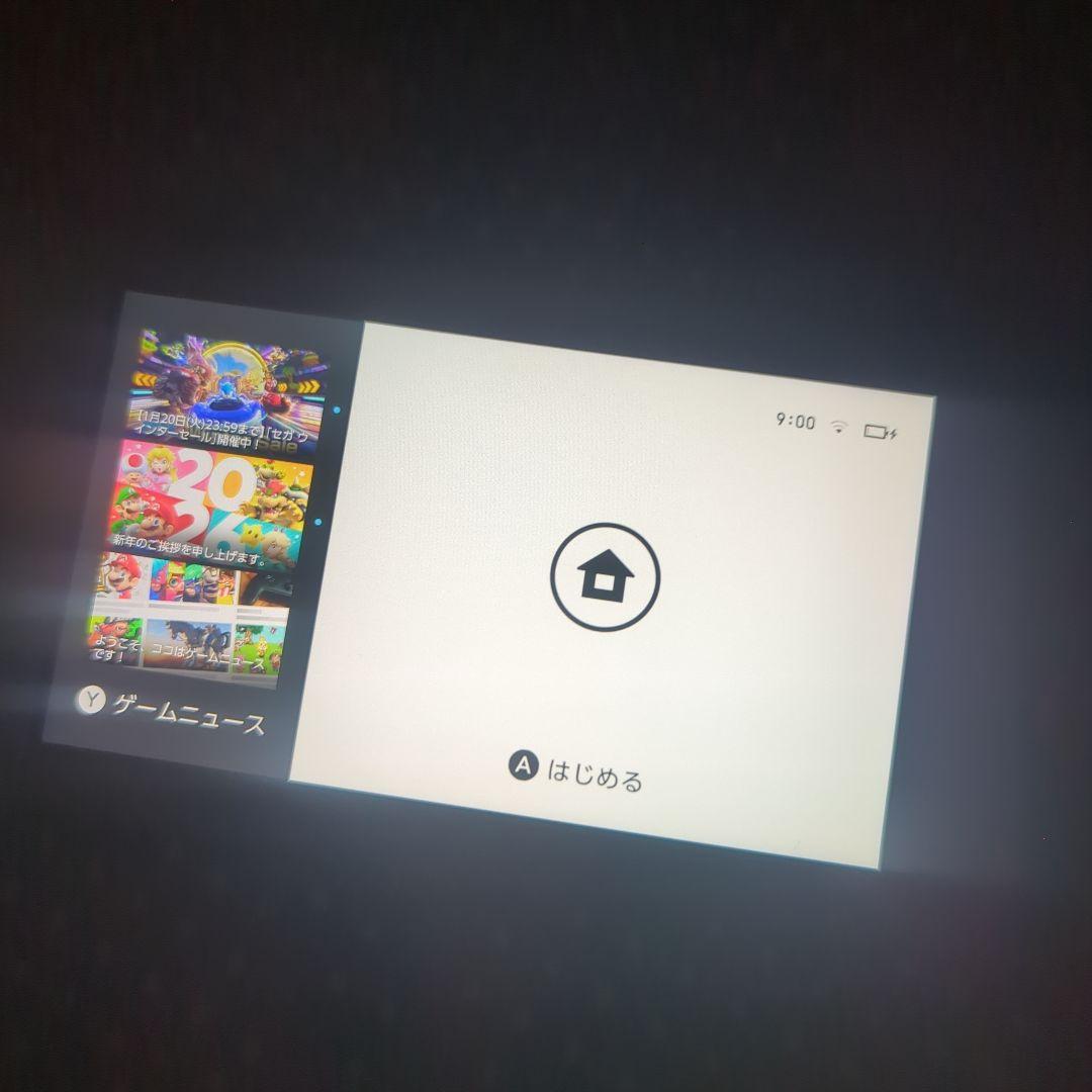 Nintendo Switch Lite 　ザシアンザマゼンタ