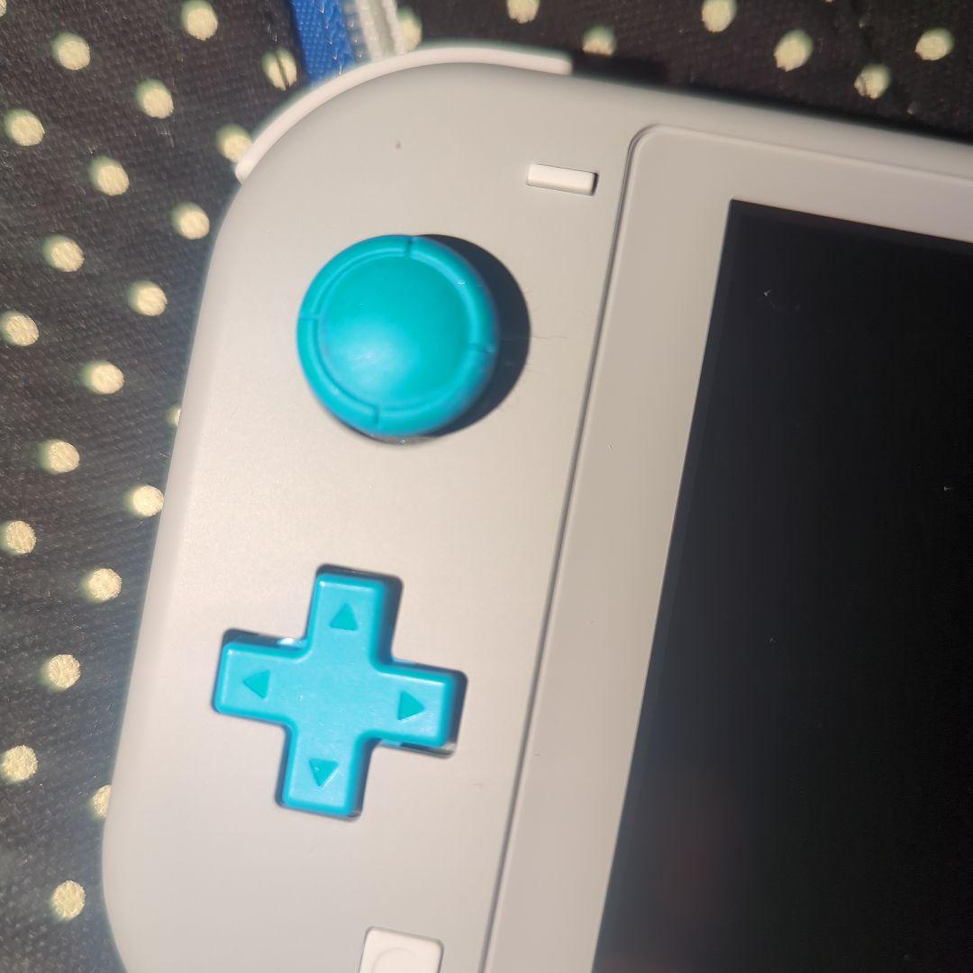 Nintendo Switch Lite 　ザシアンザマゼンタ